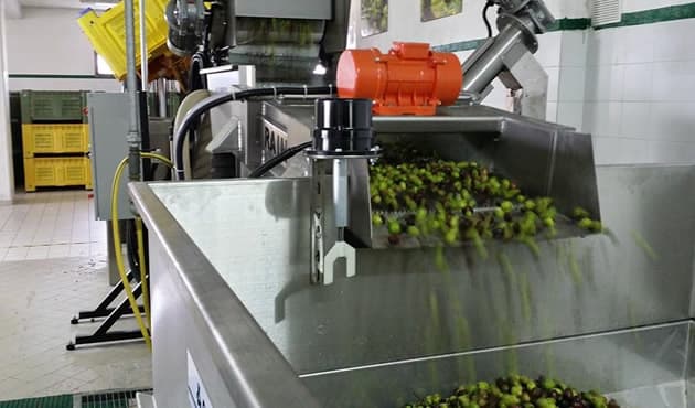 Fasi della Lavorazione
